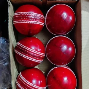 Cricket Leather Ball