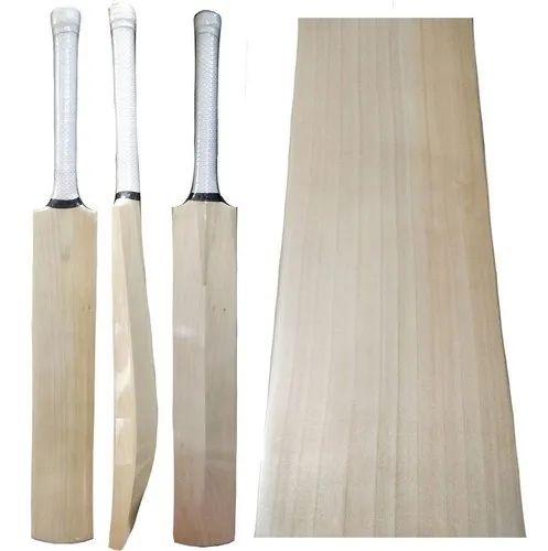 Popular Willow Cricket Bat - Image 2