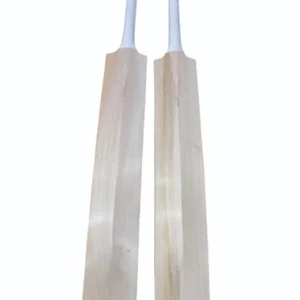 Popular Willow Cricket Bat