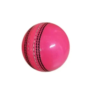 International Leather Cricket Ball